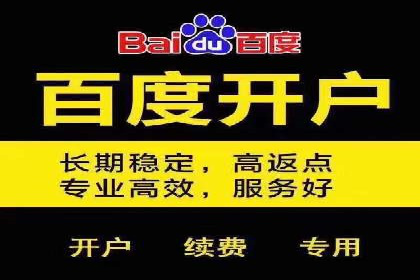 某电商平台的SEM关键词策略及成效分析